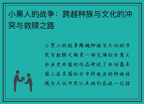 小黑人的战争：跨越种族与文化的冲突与救赎之路
